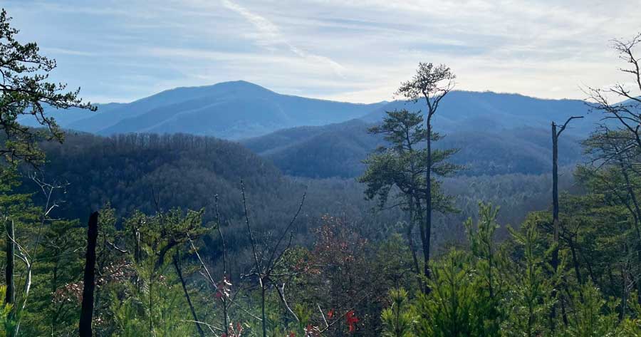 Scenic view at the Great Smoky Mountains National Park