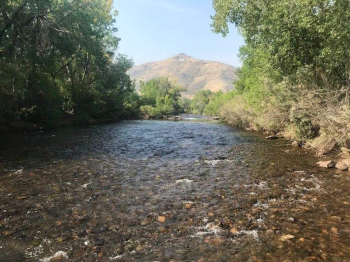 Scenic mountain views and the lush greenery from the Clear Creek Whitewater Park