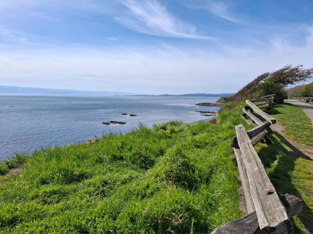 Overlooking ocean view from the Dallas Road Waterfront Trail