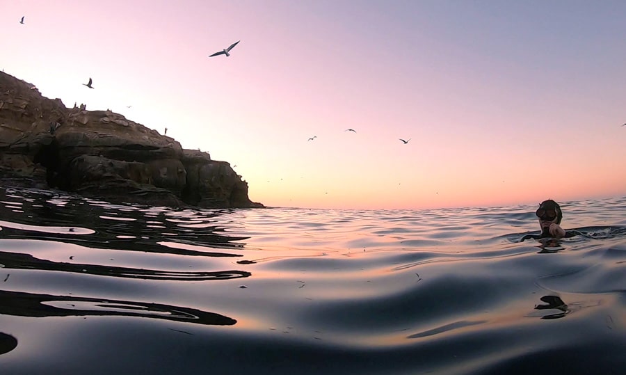View of a diver and the La Jolla Cove in the background from the water