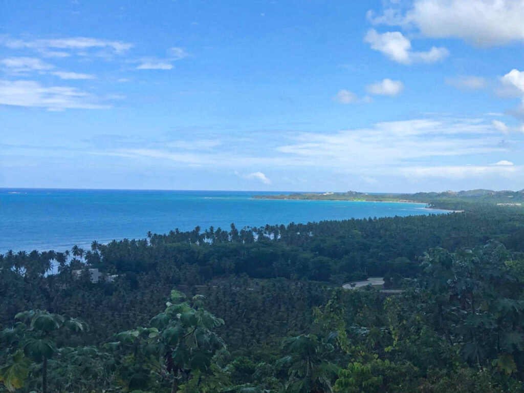 Overlooking view of the greenery around Las Terrenas