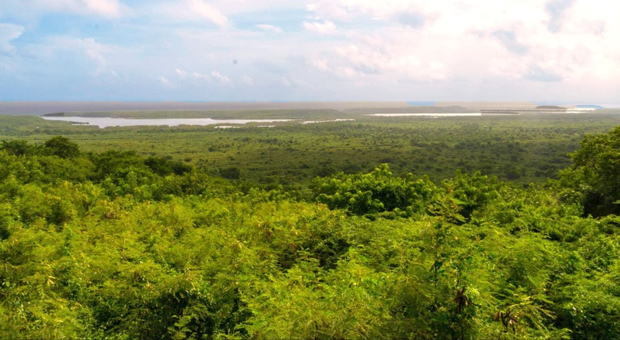 Scenic view from Vieques National Wildlife Refuge