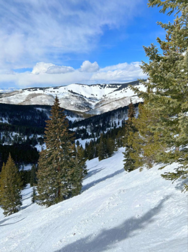 Scenic overlooking view of the Blue Sky Basin