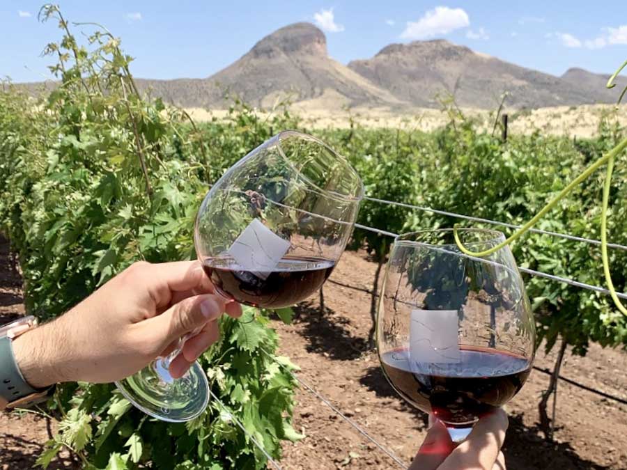 Two glasses of wine, with vineyard and mountain on its background in Sonoita