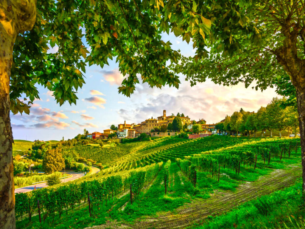 Picturesque view of the lush green vineyards and surroundings of Neive