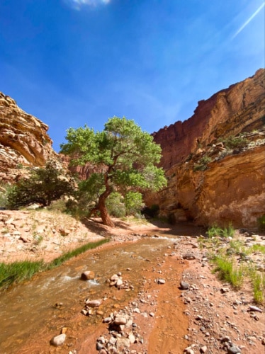 Picturesque view of the rocky mountain and the Virgin River bend