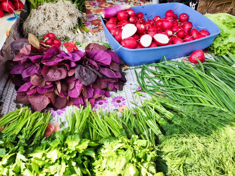 View of the variety of vegetables at the market