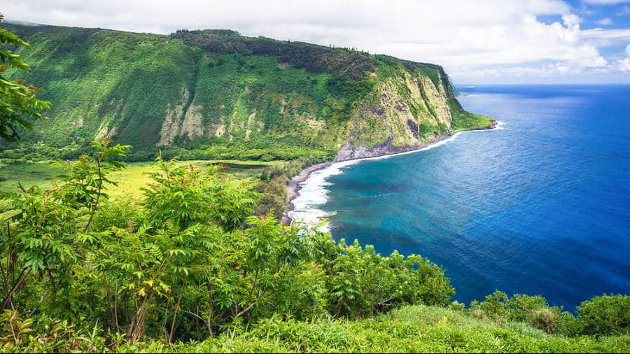 Aerial view of the lush green Waipio Valley on the Big Island of Hawaii