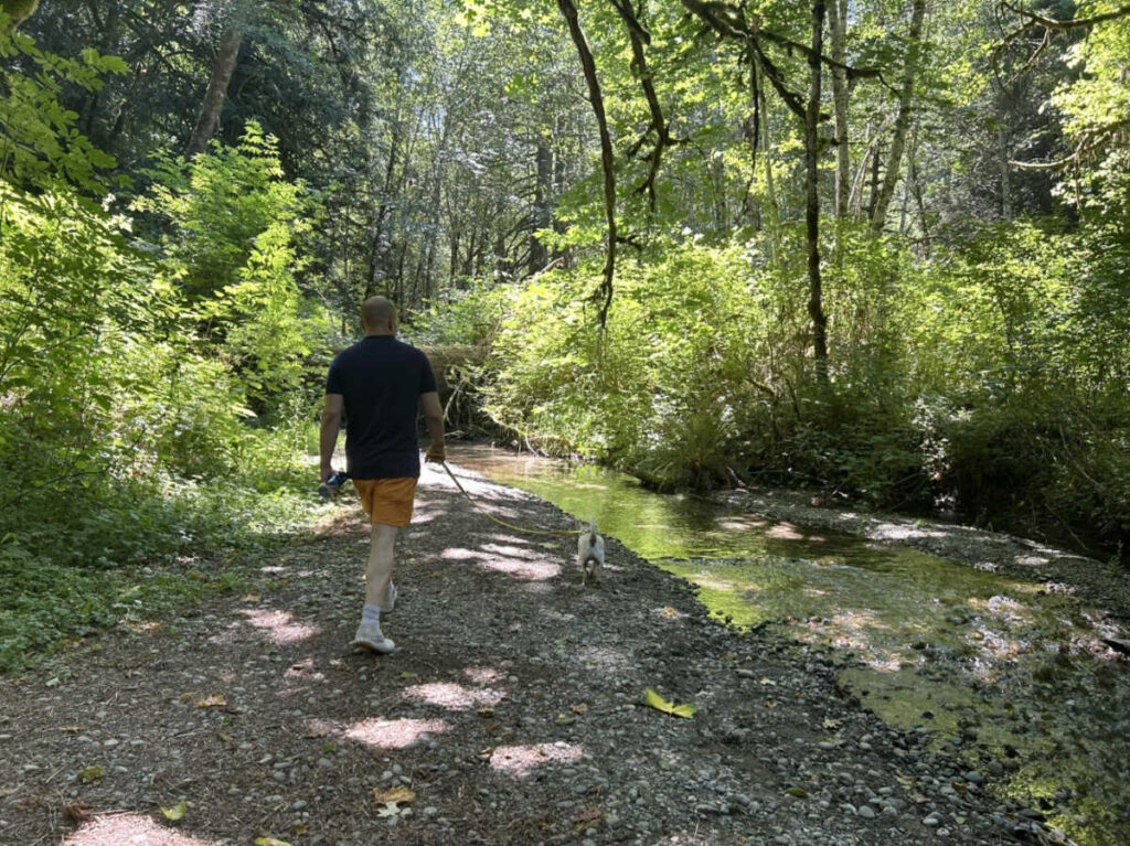 The author's husband and dog walking along Shinglemill Creek
