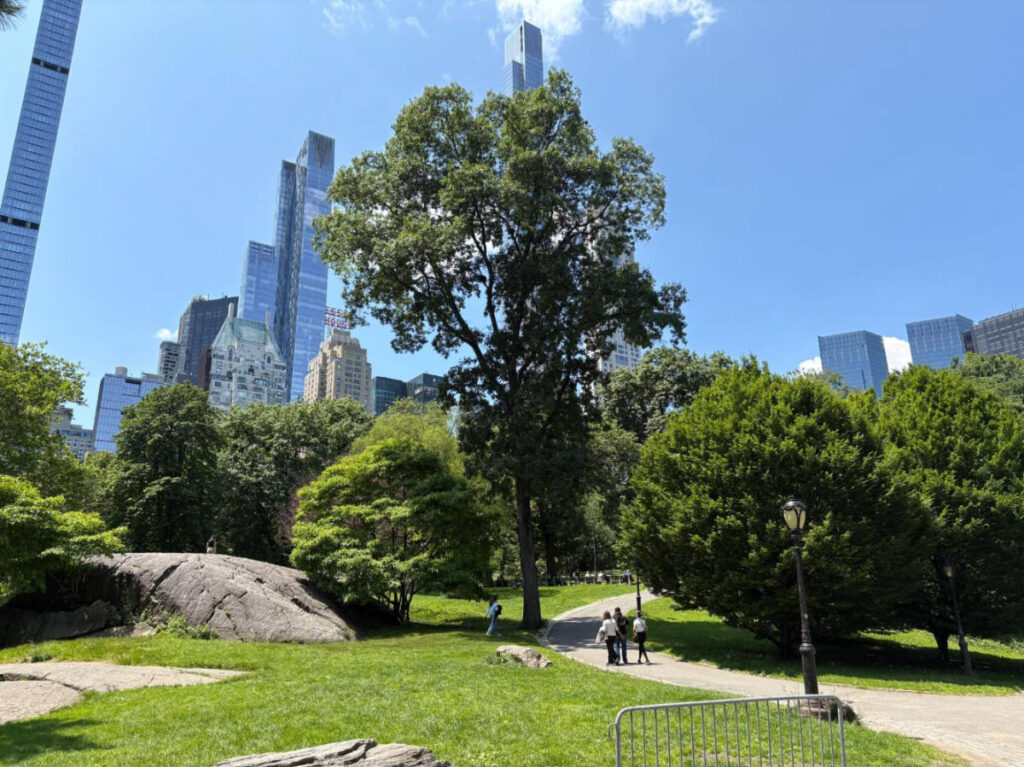 View of buildings from the Central Park