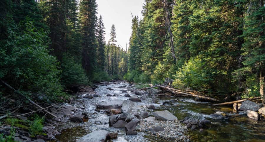 View of the running water in Lostine River