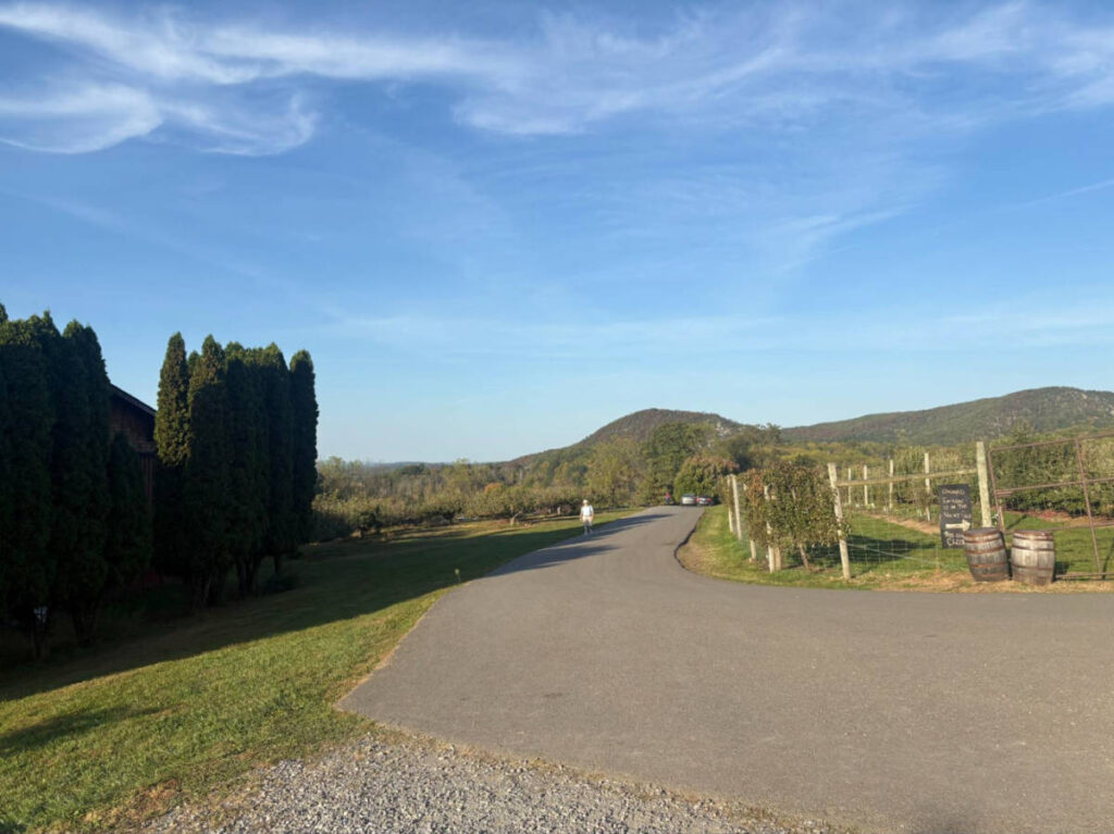 Scenic mountain views in Warwick Valley Winery & Distillery