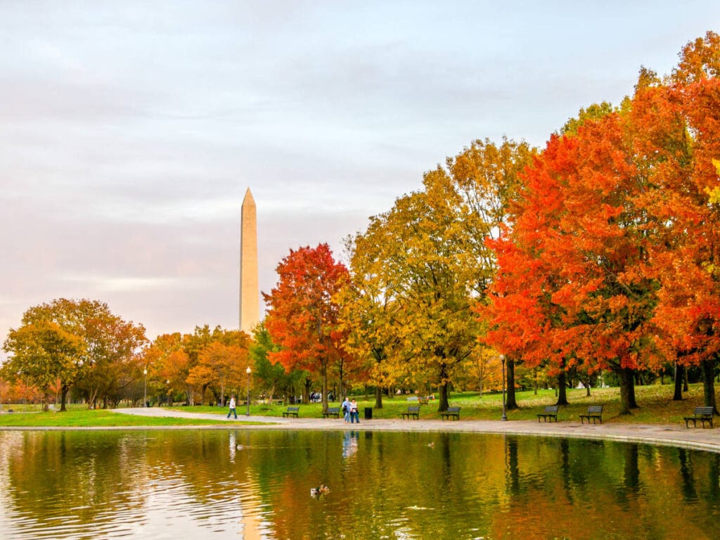 The Washington Monument from afar during fall season
