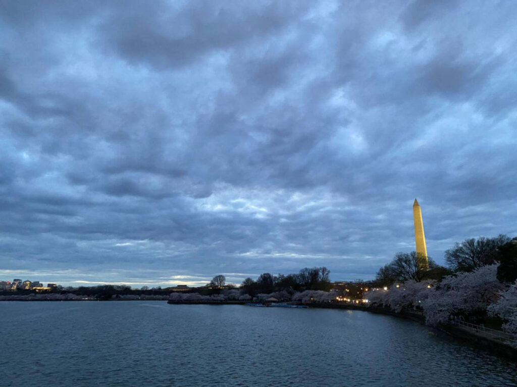 View of the Washington Monument from the Tidal Basin at night
