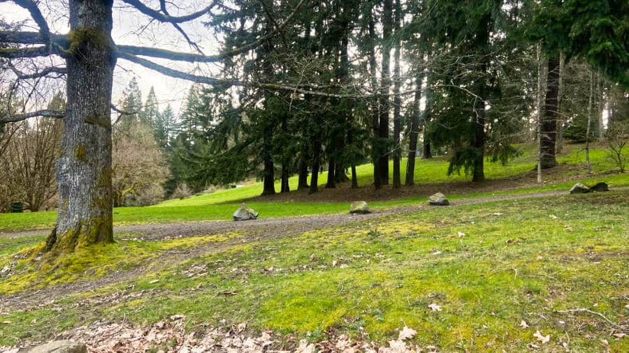 View of the greenery around the trail in Washington Park Loop Hike