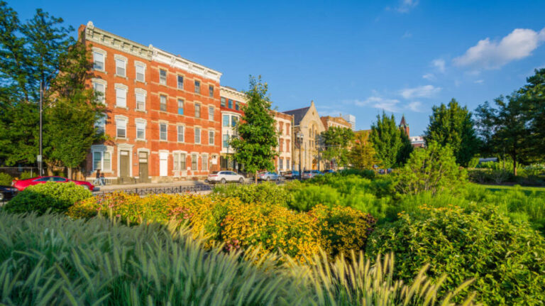 Clear blue sky over the Washington Park during summertime