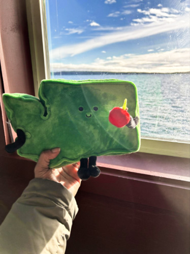 The Washington state plushie from Millstream