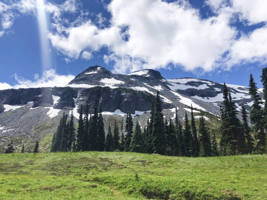 Scenic view of the Mount Rainier National Park