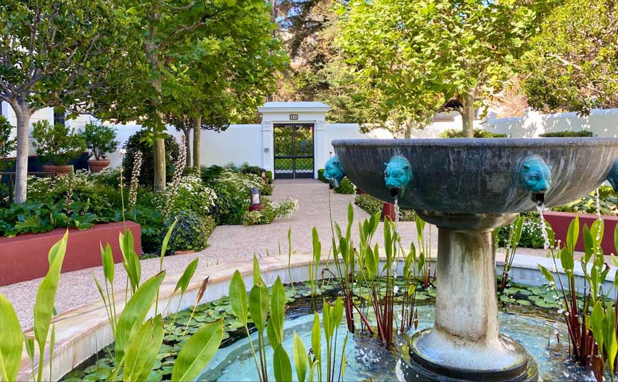A water fountain with plants in Getty Villa