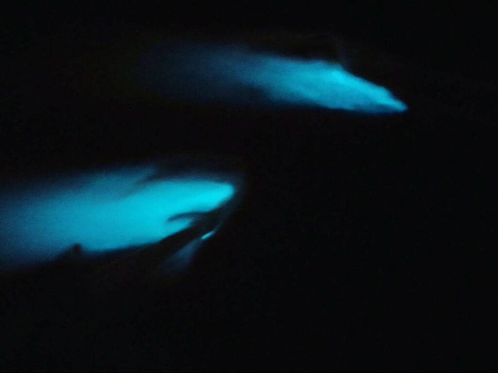 View of the bioluminescent Laguna Grande