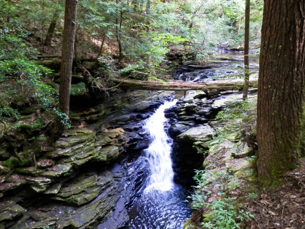 The waterfall surrounded by greenery along the Fiery Gizzard Trail
