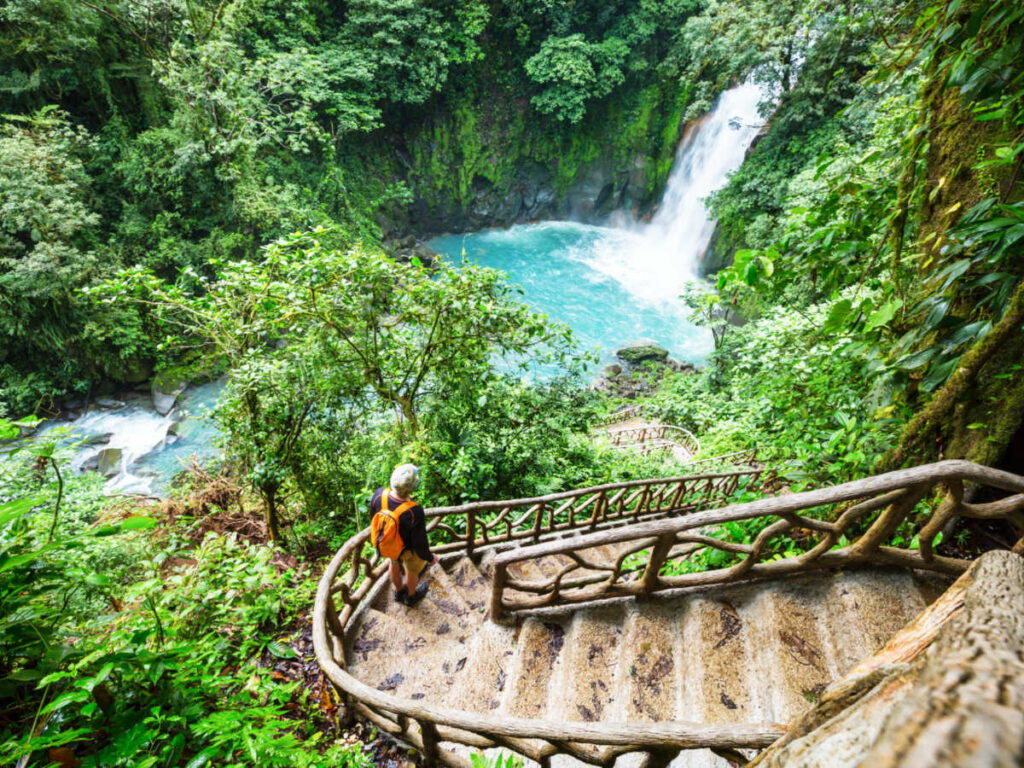 A hiker enjoying the magnificent view of the waterfall in the middle of the rainforest from the staircase