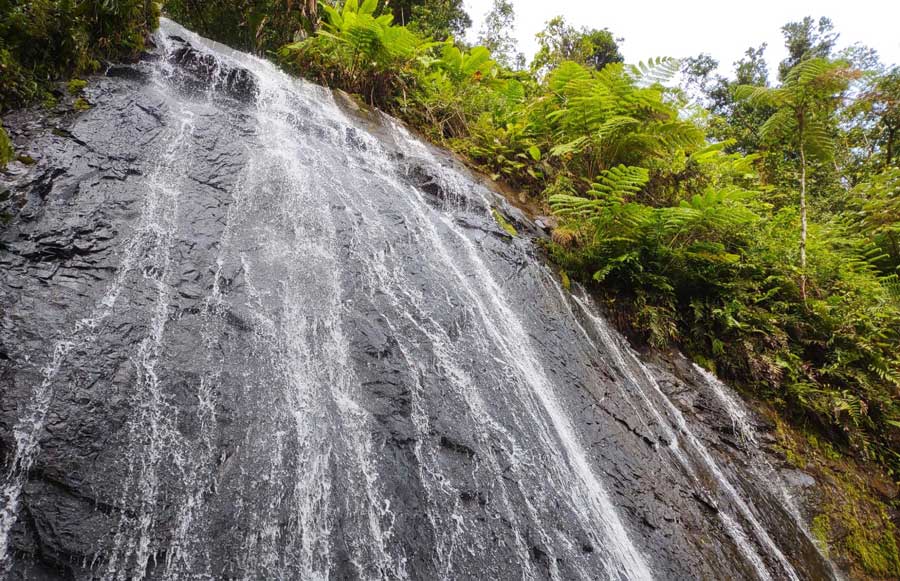 Close up view from a waterfalls in El Yunque National Forest
