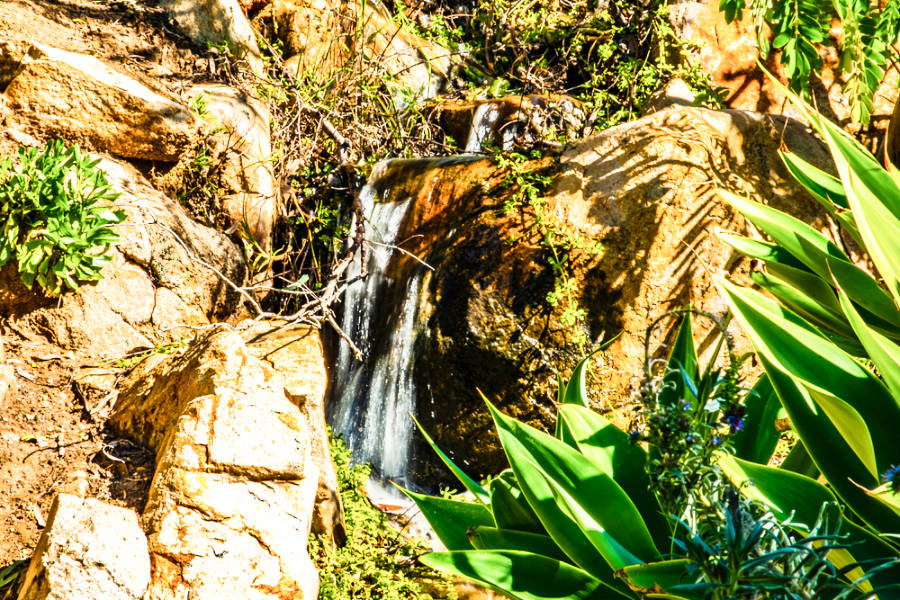 View of the gushing waterfalls at Alta Vista Botanical Gardens on a sunny day
