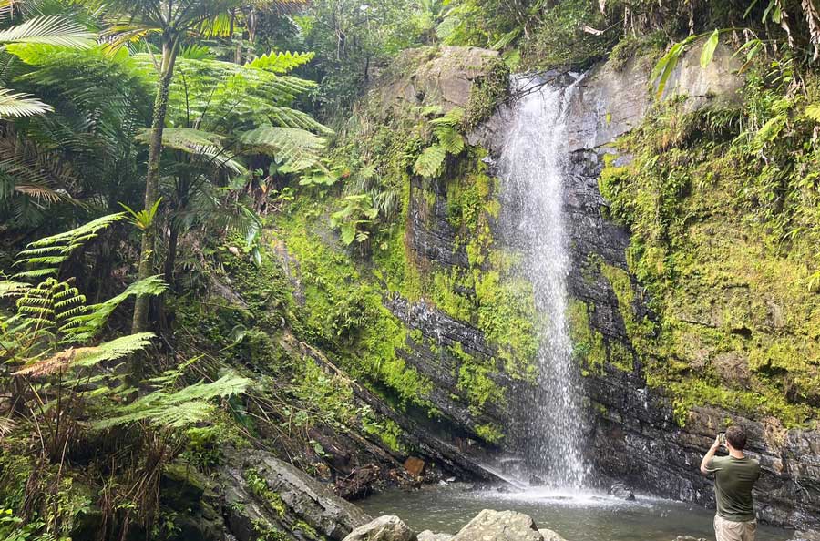 Scenic view of a waterfall in El Yunque