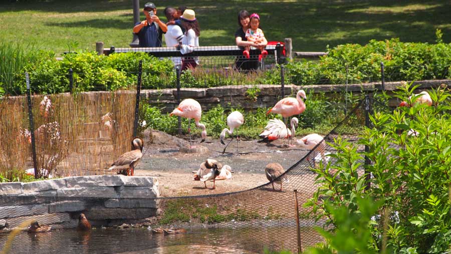 View of people observing the animals at the Waterfowl Lagoon