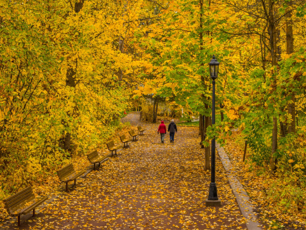 People walking at the Waterfront Park during autumn season