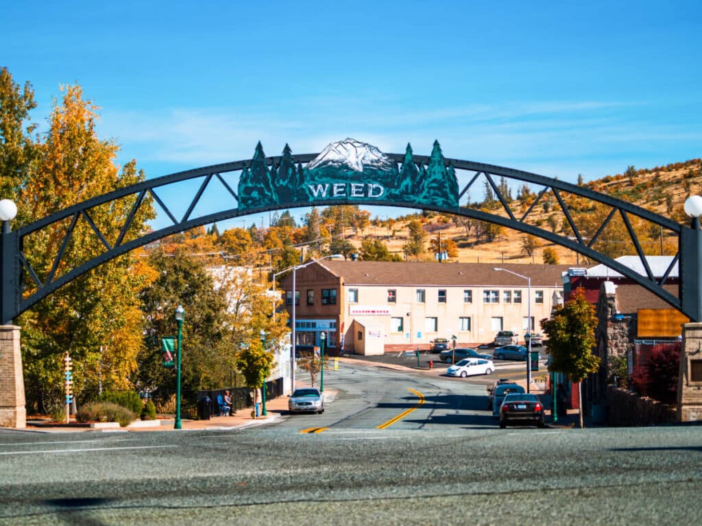 View of the entrance arch sign of Weed