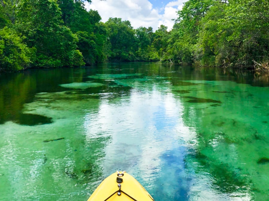 View of the serene nature park river from a kayak at Weeki Wachee Springs State Park.