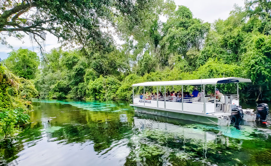 View of tourist having a boat ride in Weeki Wachee