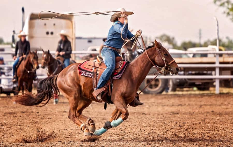 A female rider competing in a barrel race on a horse at Westgate River Ranch Resort & Rodeo