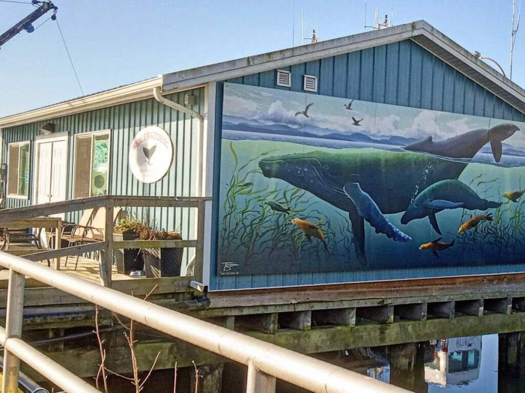 A mural of whales on a Whale Watching Tour company