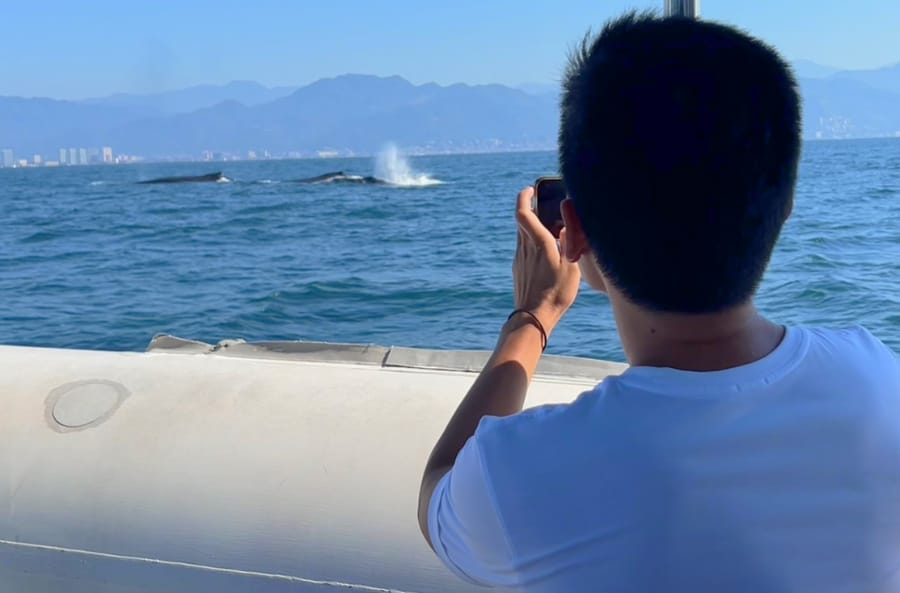Nate's friend filming the whales on the sea