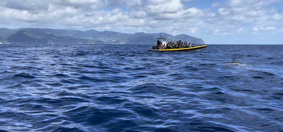 View while on a boat for a whale watching tour in Sao Miguel Island
