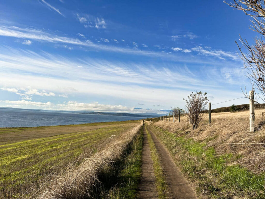 Overlooking view of the ocean from the trail to Ebey’s Landing