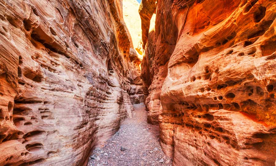 A narrow path in White Domes Trail