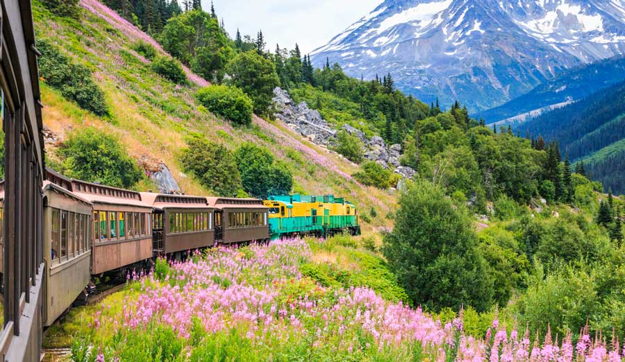 Scenic view while riding the White Pass Railroad