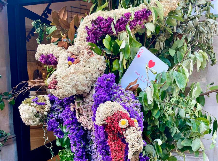 A colorful white rabbit flower displayed during the Chelsea Flower Show