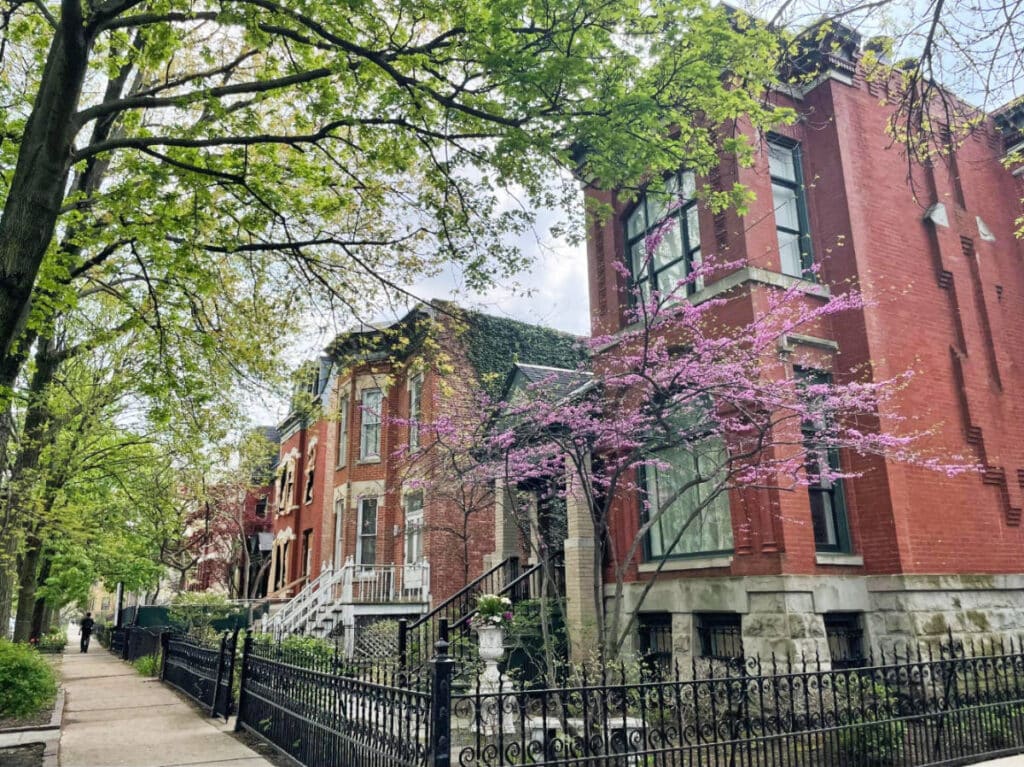 View oh houses at the Wicker Park & Bucktown neighborhood