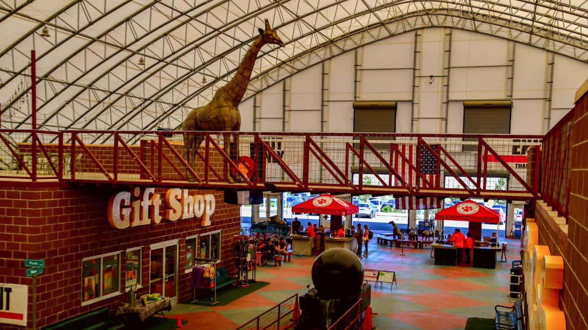 View of a gift shop in Wild Animal Sanctuary