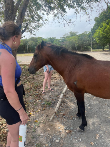 A woman and a wild horse in Vieques