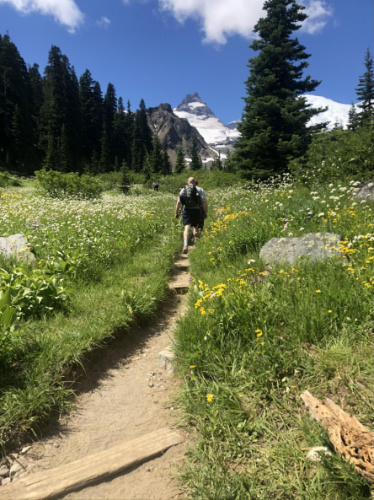 Clear blue sky over the wildflowers in Summerland