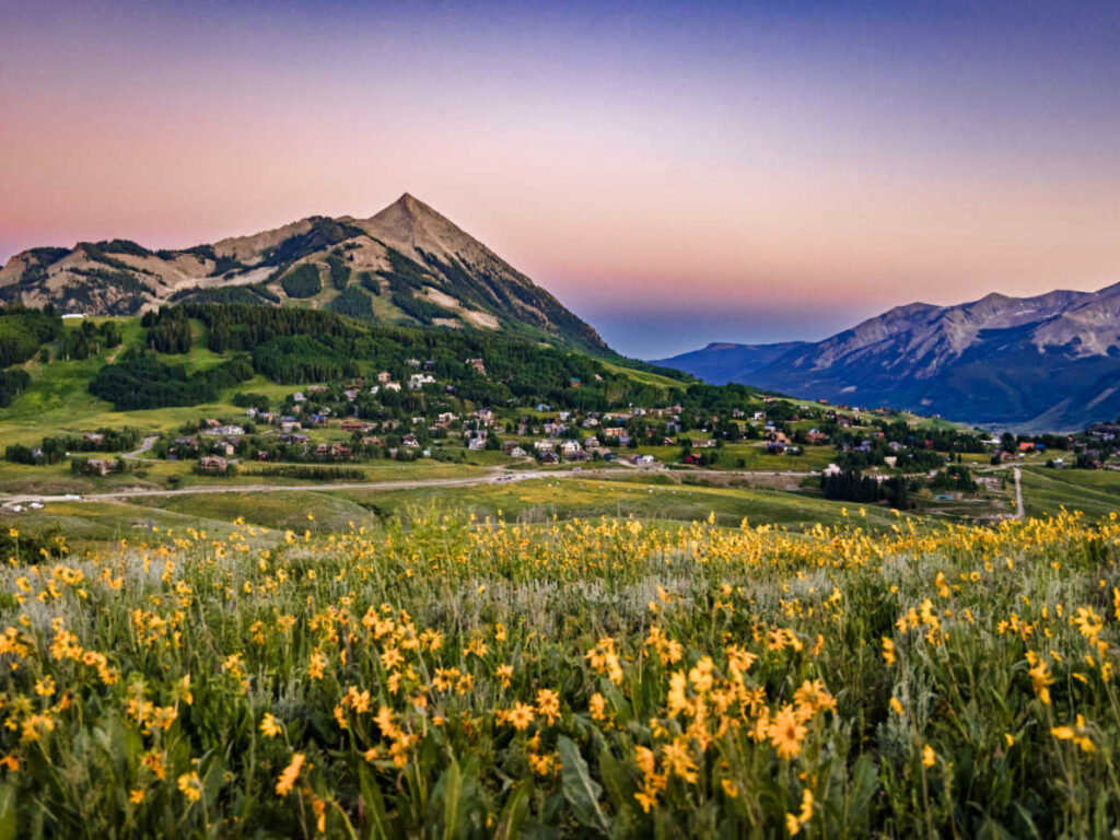 Panoramic view of the filed of wildflowers with mountain views at sunset