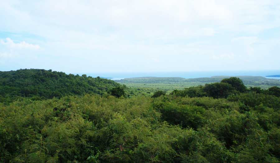 View of the Wildlife Refuge in Vieques