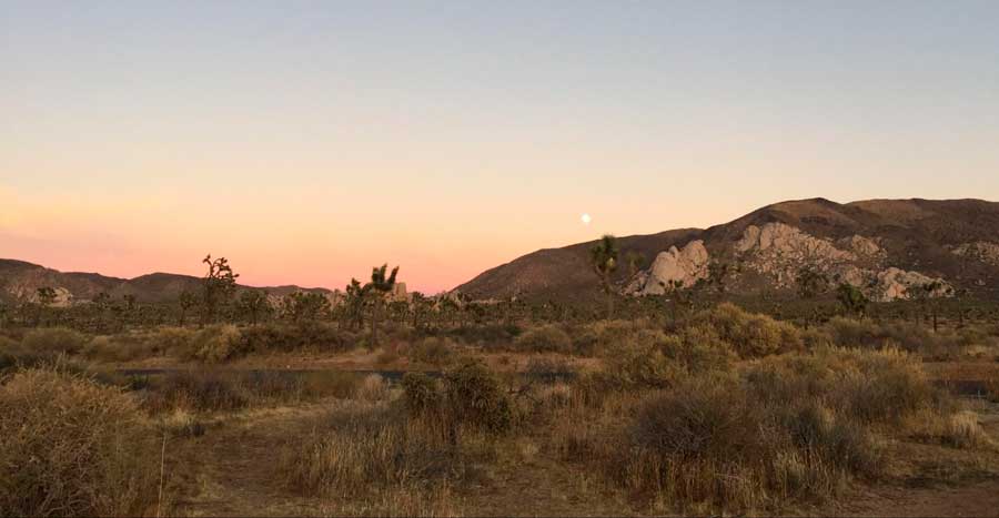 Colorful sky over the Joshua Tree National Park during sunset