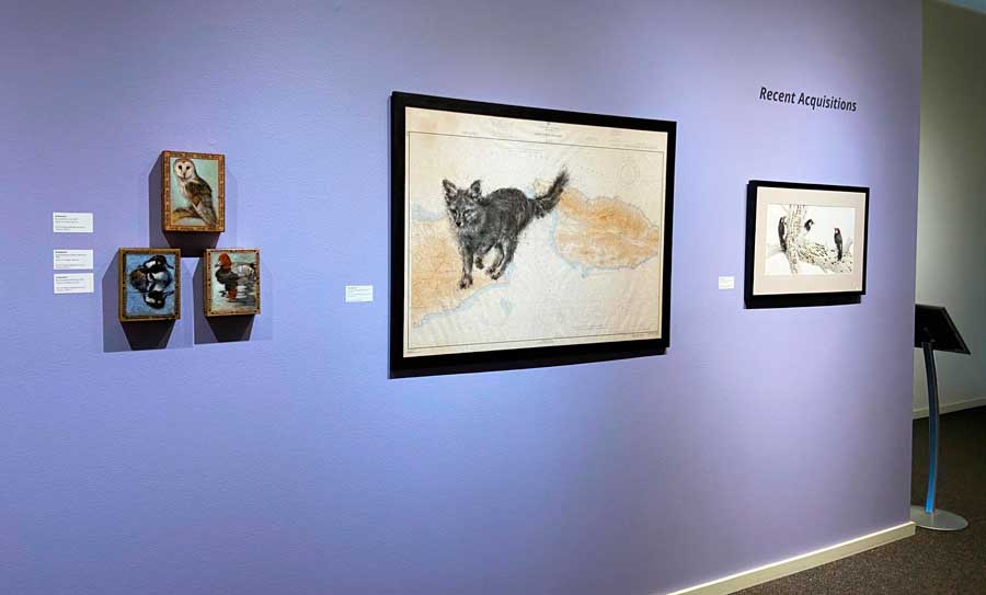 Displayed exhibits inside the Wilding Museum of Art and Nature